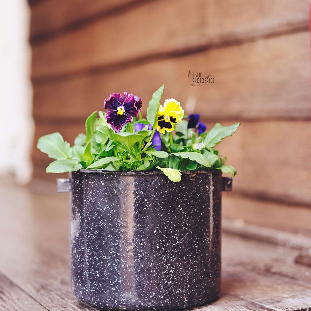 Burges WA Travel Agents