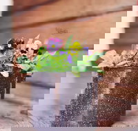 The York Mill - Travel Agents