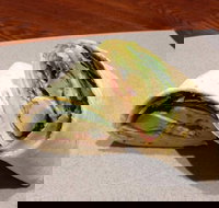 Wrap N Roll - Helensvale - Travel Search