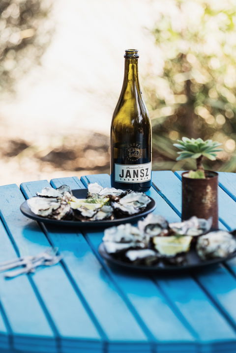 Get Shucked - Travel Agents 0