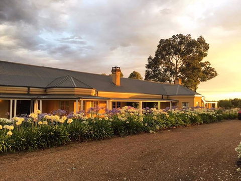 Vinden Estate Wines - Cruises Travel 0