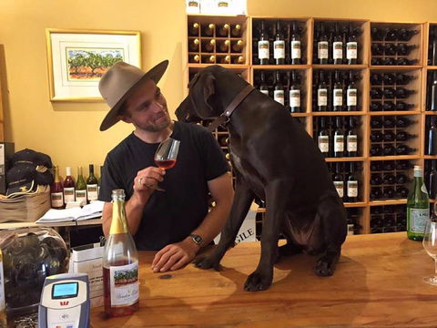 Vinden Estate Wines - Cruises Travel 1