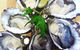 Captain & Co Fish Bar - thumb 0