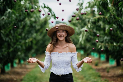 Cherryhill Orchards - Cruises Travel 0