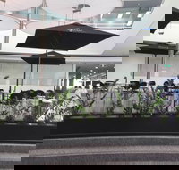 Basia Mille - Travel Agents