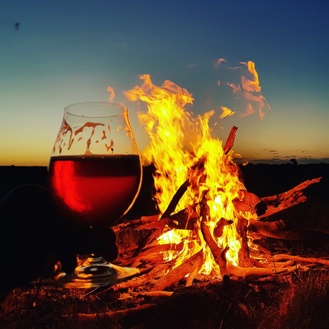 Black Dog Brewery - Tourism Guide 0