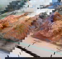 Ganache Chocolate - Travel Search