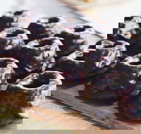 Ol' Mate Coffee - Travel Search