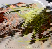 Rising Sun Hotel - Travel Agents