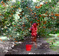 Fords Farm - Travel Agents