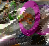 Shinobu Sushi Bar - Travel Agents