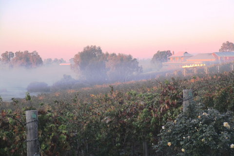 Sittella Winery & Restaurant - Travel Search 1