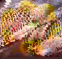 Toshiya - Travel Agents