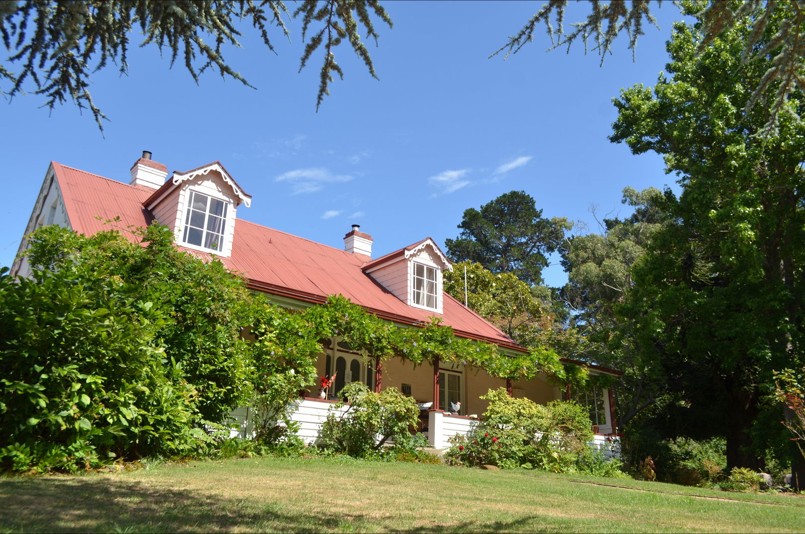 Bushy Park TAS Cruises Travel