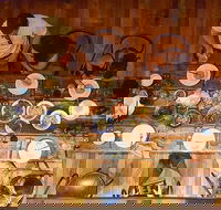 The Dark Horse - Travel Search