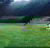 Goat Hill Farm - Cruises Travel