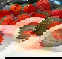 Jackie's On Vincent - Travel Search