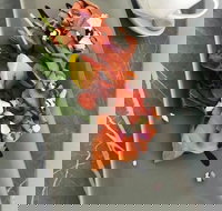 KALV  Co. Cafe and Wine Bar - Tourism Guide