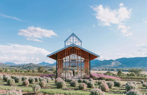 Kooroomba Vineyard And Lavender Farm - Tourism Guide 0