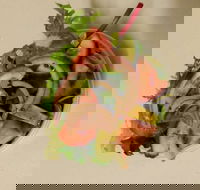 MM Fish  Chips - Travel Search