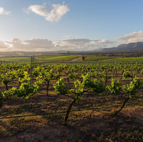 Our Italian Table - Travel Agents 1