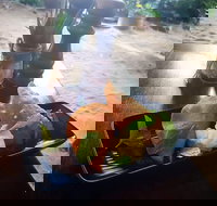 Beach Shack Restaurant - Travel Search