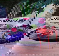 Antz Pantz Cafe - Travel Agents