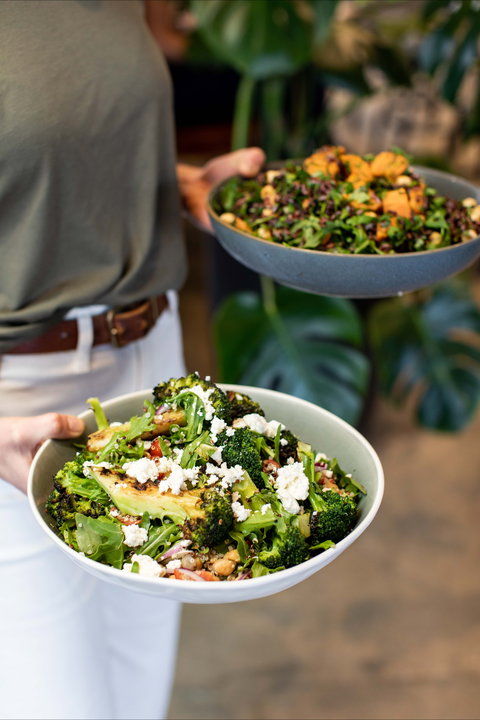 Cafe 202 - Travel Search 1