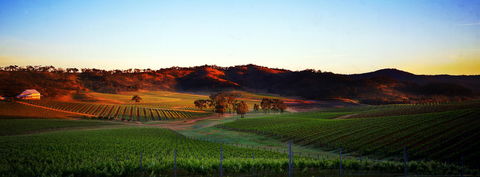 Dalwhinnie Wines - Travel Agents 0