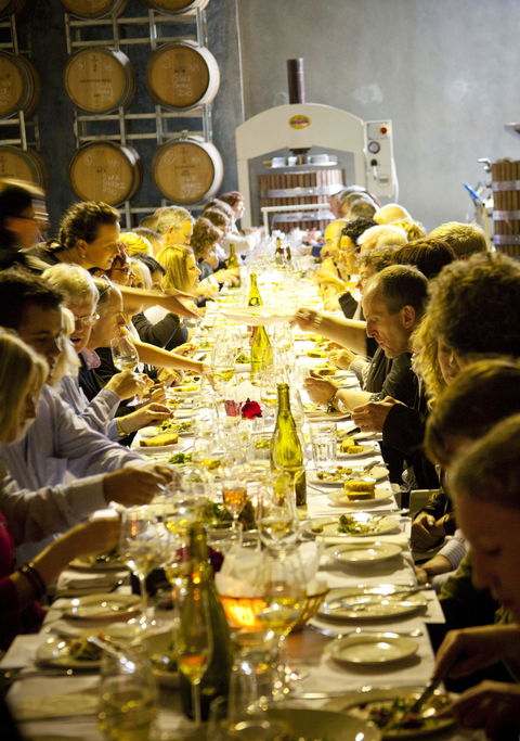 Dalwhinnie Wines - Travel Agents 2