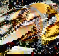 Cafe 3847 - Travel Agents