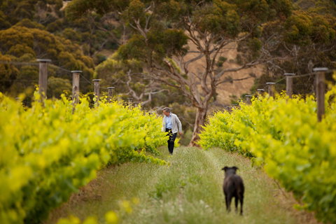 Islander Estate Vineyards - Travel Agents 1