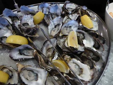 View 42o - Travel Search 0