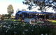 Emma's Of Lovedale - thumb 0