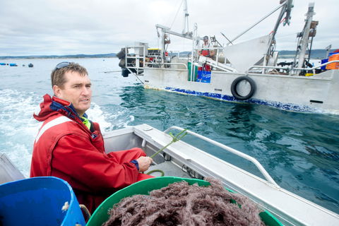 Peninsula Fresh Seafood - Travel Search 0