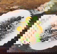 Salt and Tedder - Travel Agents