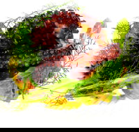 Woodhill Dining - Travel Agents