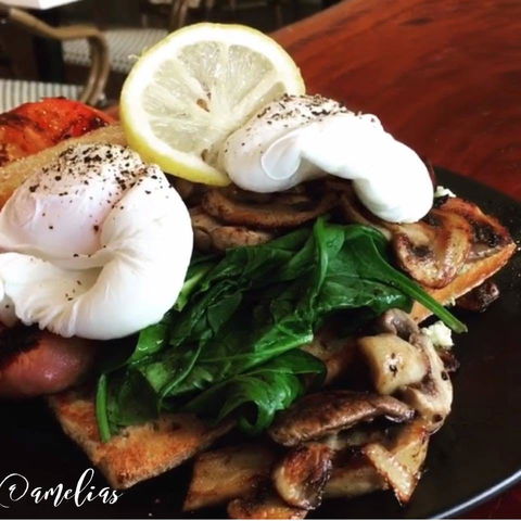 Amelia's Bakery - Travel Search 0