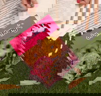 Donut King - Ipswich - Travel Agents