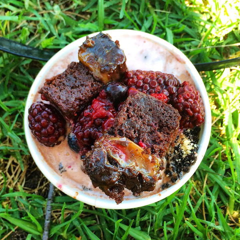 Fro-yo Frozen Yoghurt And Bubble Tea - Tourism Guide 0