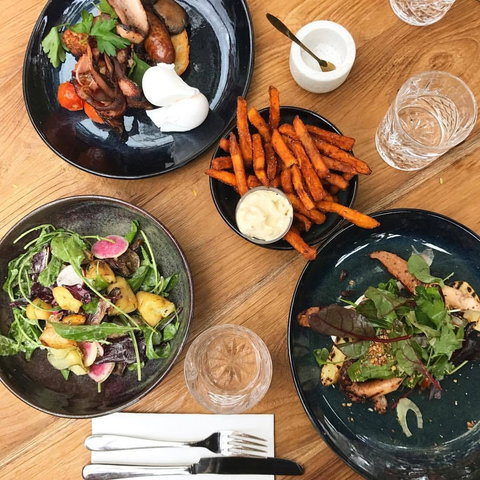 Hunter & Scout - Tourism Guide 0