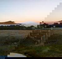 Mountainside Wines - Cruises Travel