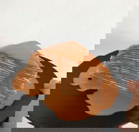 The Usual Joint - Travel Search