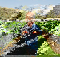 Hillwood Berries Farmgate  Pick Your Own - Travel Agents