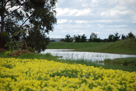 Kisaan Estate Winery - Travel Agents 2