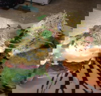 Cafe in the Mountains - Travel Agents