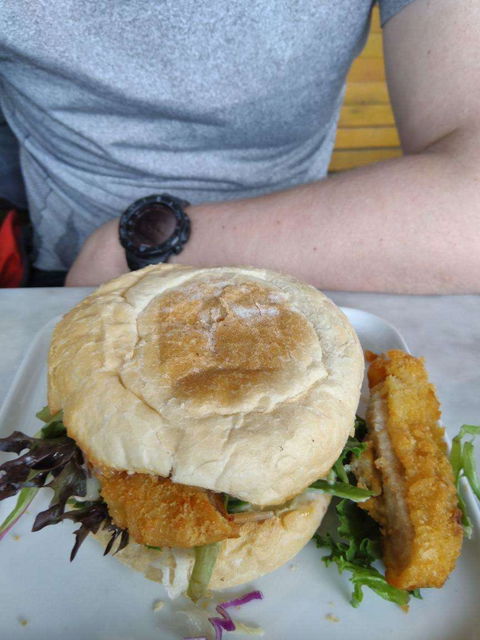 Moon's Fresh Sushi - Travel Search 0