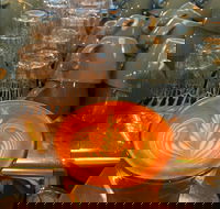 The Trail - Travel Agents