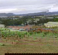Villa d Esta Vineyard - Cruises Travel