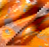 Morish Nuts - Travel Search